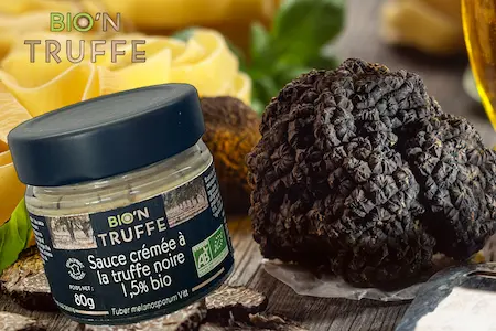 Aperçu du site BionTruffe